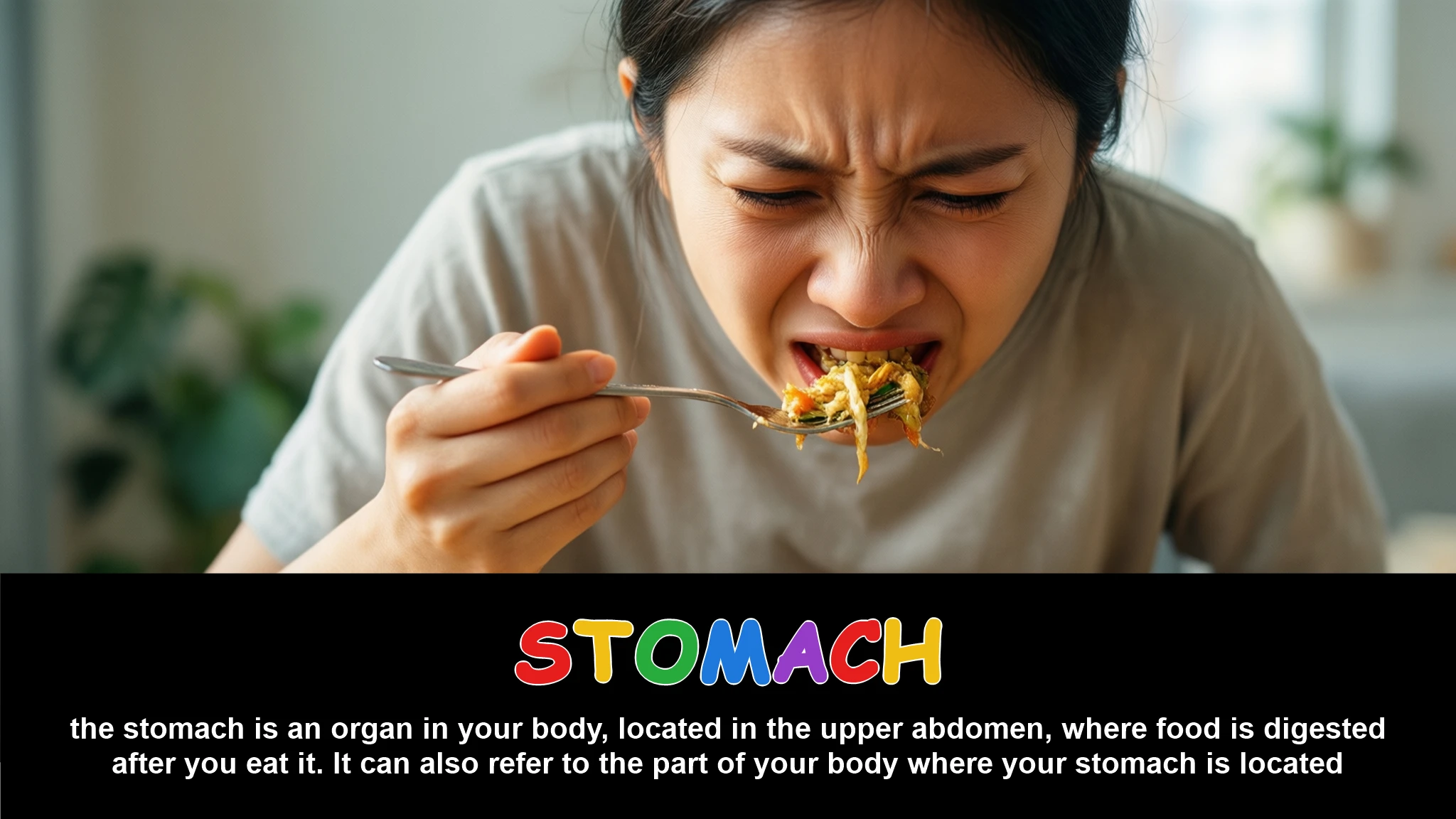 English Illustration for stomach